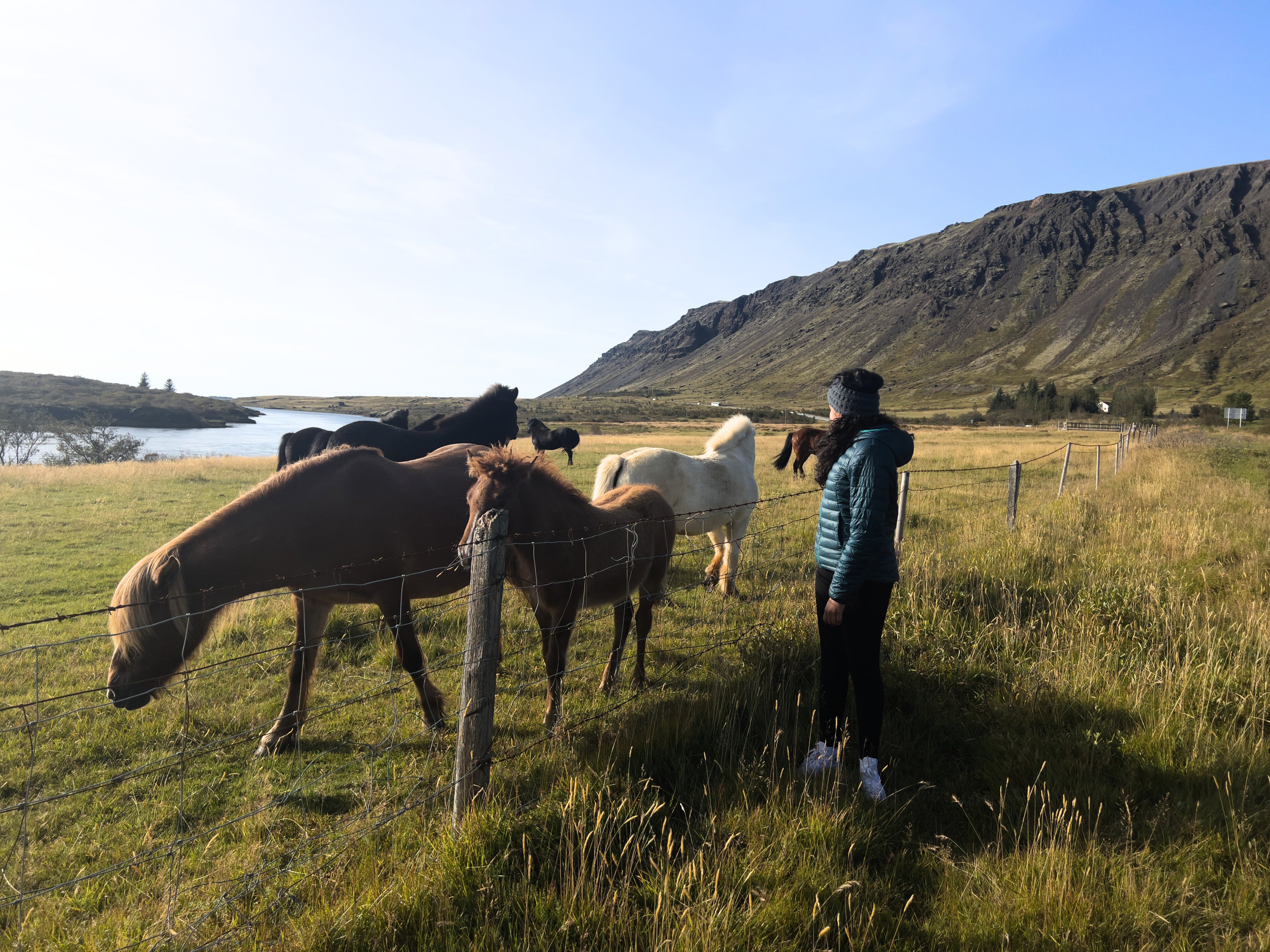 files/image_of_roadtrip_in_iceland.jpg